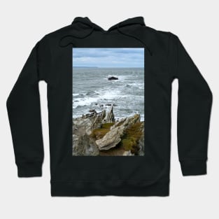 Rocks, Sea And Lundy Island Hoodie